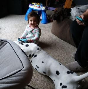 Meet your Posher, Ardyce